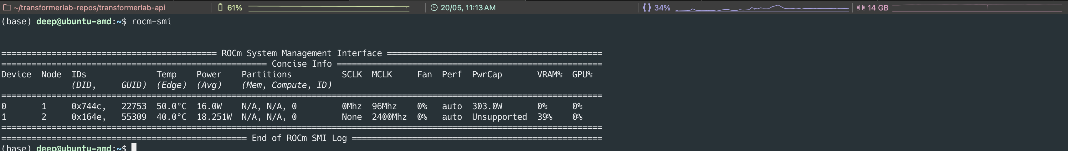 rocm-smi output